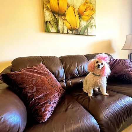 Beautiful Apartment With Pools, Playground And Paddle Tennis - Family Friendly And Near Vithas Hospital - Free Parking In Garage ベナルマデナ エクステリア 写真